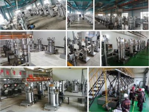 طاردات الزيت-أفضل الشركات المصنعة لآلات طاردة الزيت في كوتيماها