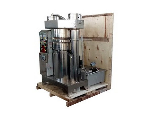 ماكينة ضغط الزيت الأوتوماتيكية 600 كجم/ساعة لطرد بذور الفول السوداني من الفولاذ المقاوم للصدأ