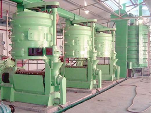 ماكينة ضغط الزيت الأوتوماتيكية الكاملة 610 وات مستخرج الزيت الساخن البارد 304 في تركيا