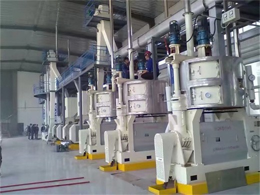 راجولا للصناعات بادامي – الشركة المصنعة لآلة الطحن وآلة استخراج الزيت
