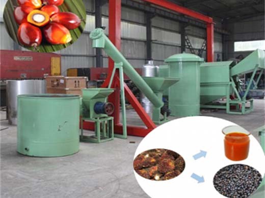 الصين الشركة المصنعة لمعدات مطحنة زيت النخيل