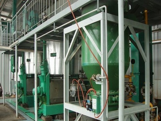 خط إنتاج زيت الطعام آلة استخراج الزيت بالضغط البارد في دبي