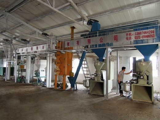 مصنع تصنيع زيت الكانولا الجاهز بقدرة 150 طنًا يوميًا في مصر