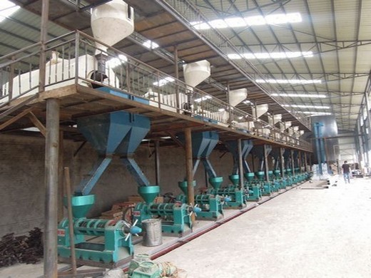 مشروع مصنع معالجة فول الصويا آلة بروتين الزيت في المملكة العربية السعودية