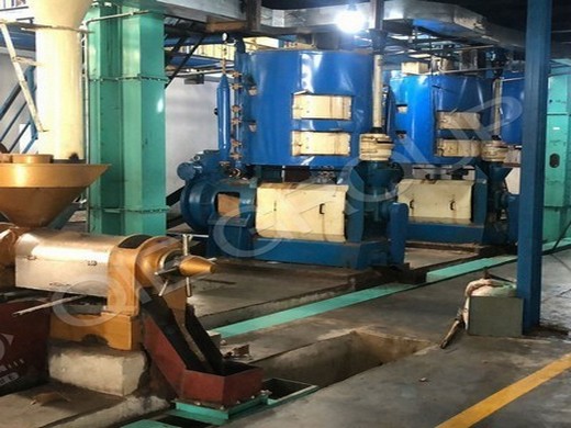 آلة/معدات مصنع استخلاص زيت بذور اللفت في عمان